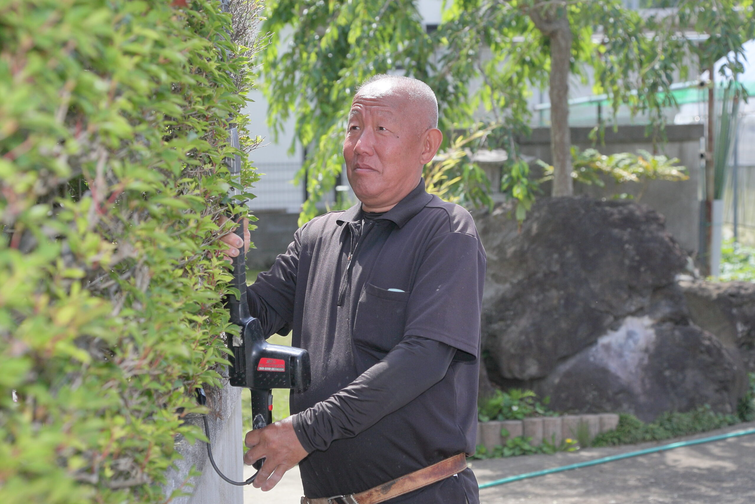 庭木の剪定作業対応